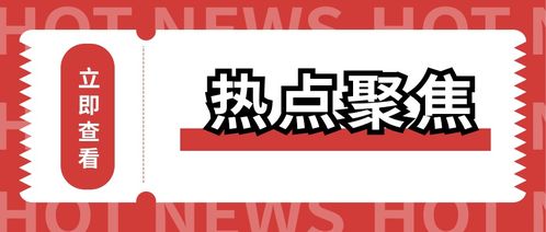 代理机构勿入评审因素设置 雷区